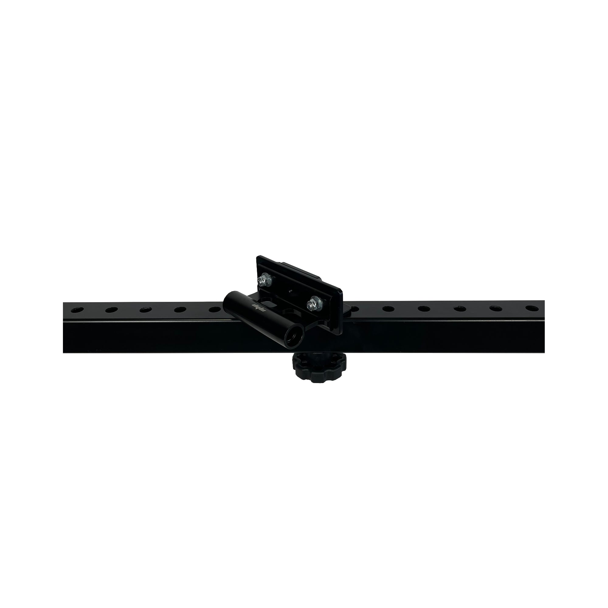 Bike axle mount